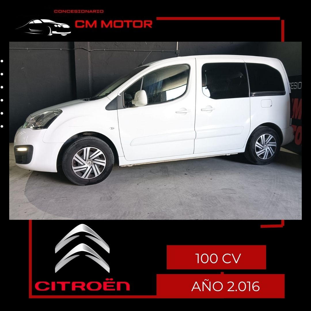 Citroen Berlingo Multiespace